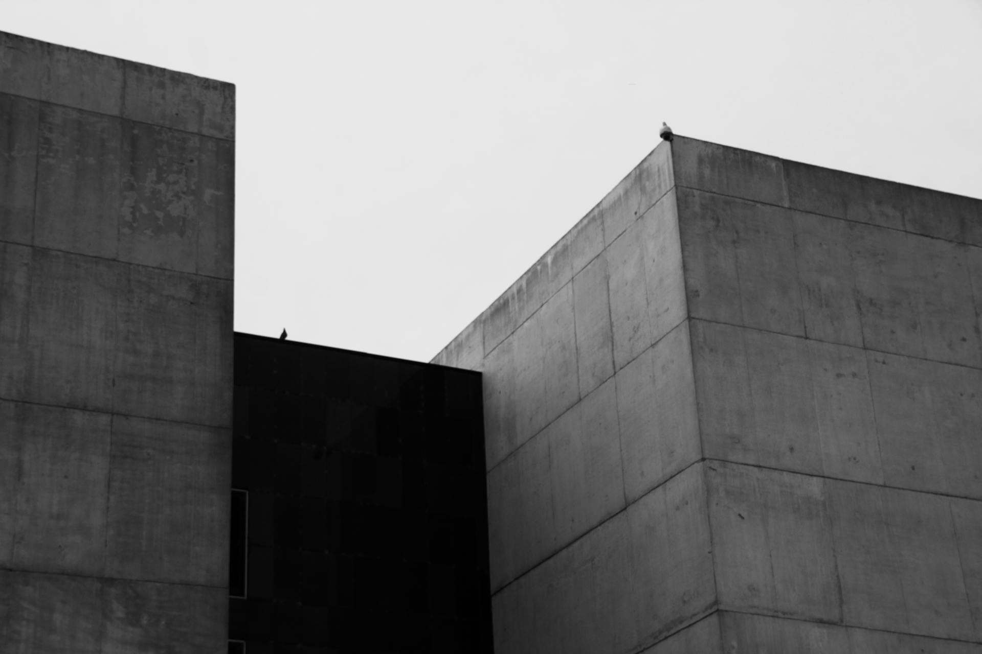 pexels-lmcasz-33422507